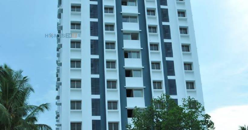 Confident Phoenix III Exterior View